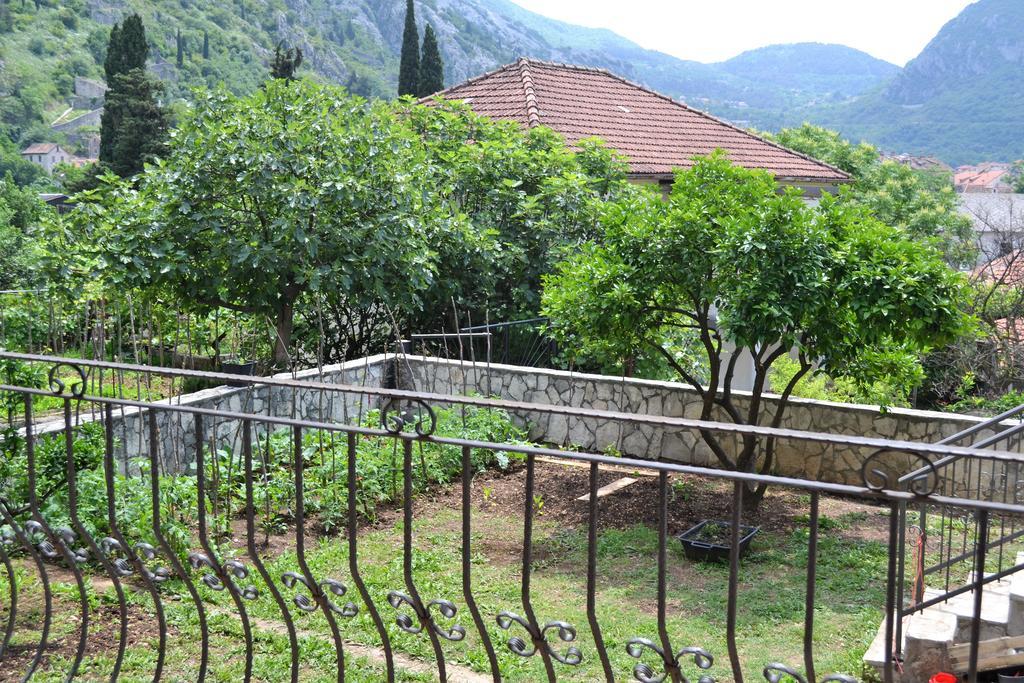 Apartments Villa Marta - Begovic Kotor Luaran gambar